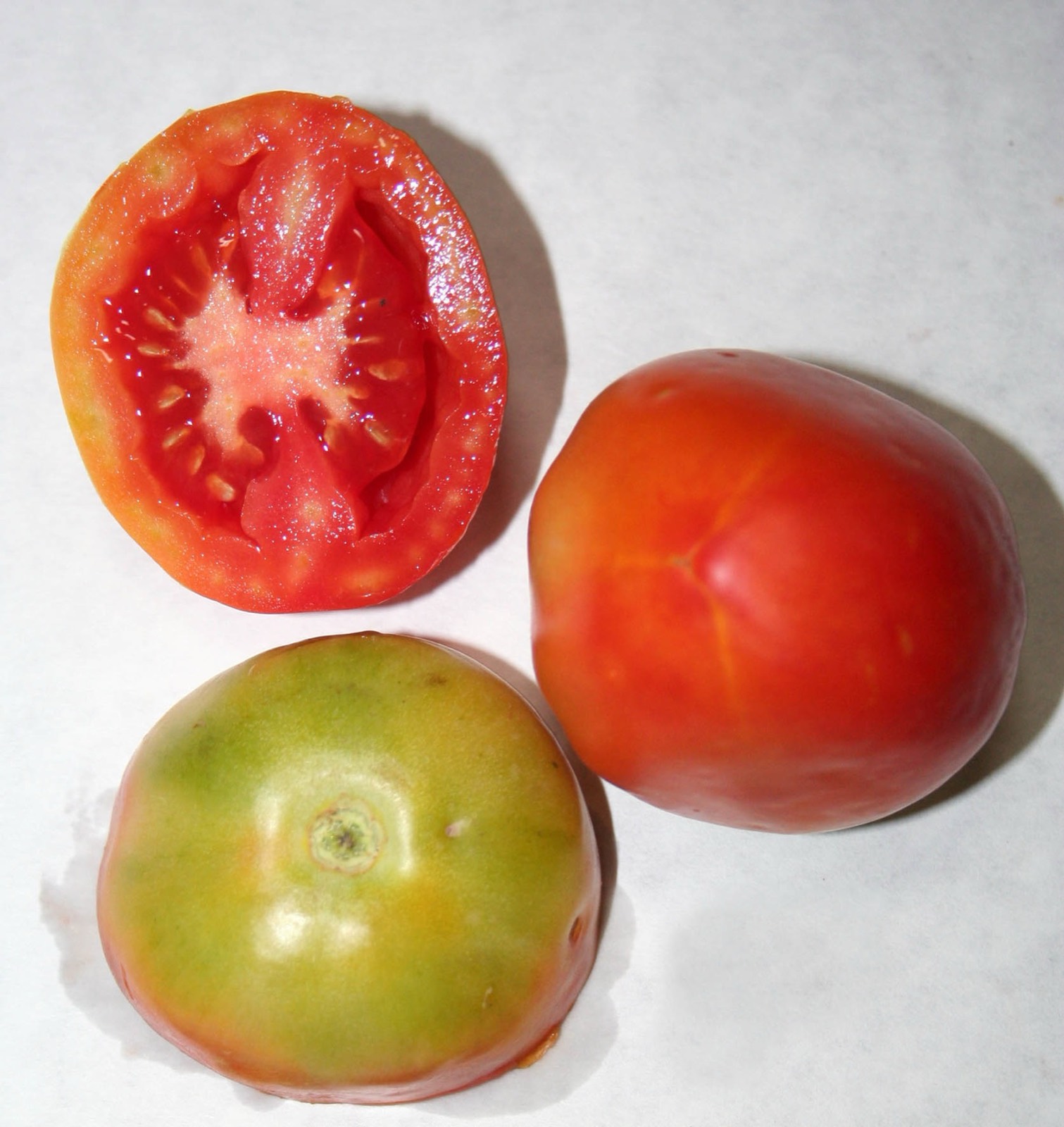 011 · Tomate_Pera_medina