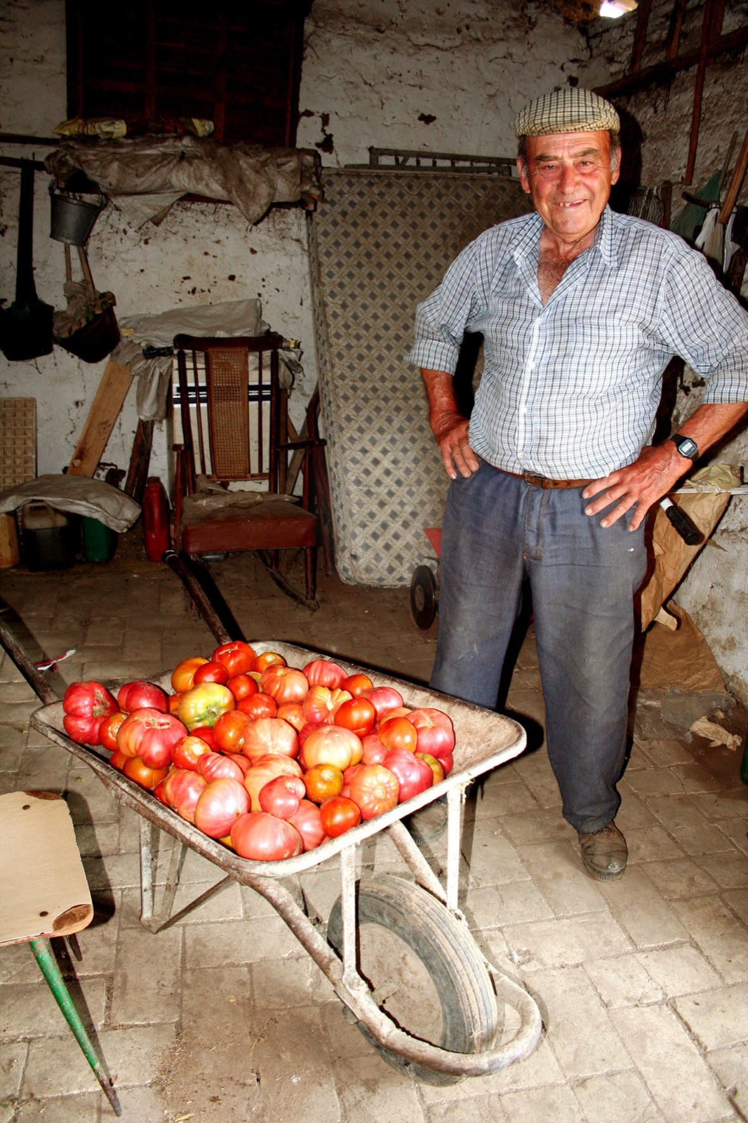 031 · Tomates Rosados (Manuel El Tomaso-Villamanrique) 006111 copia