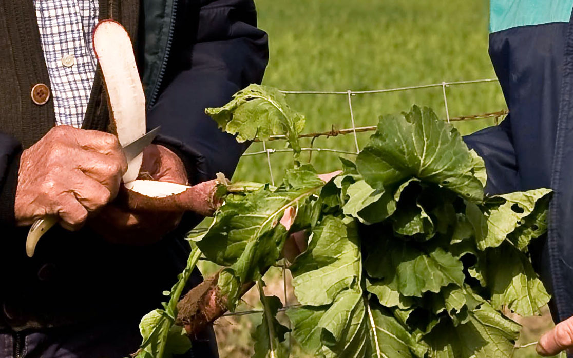 091 · Making of Doñana-32