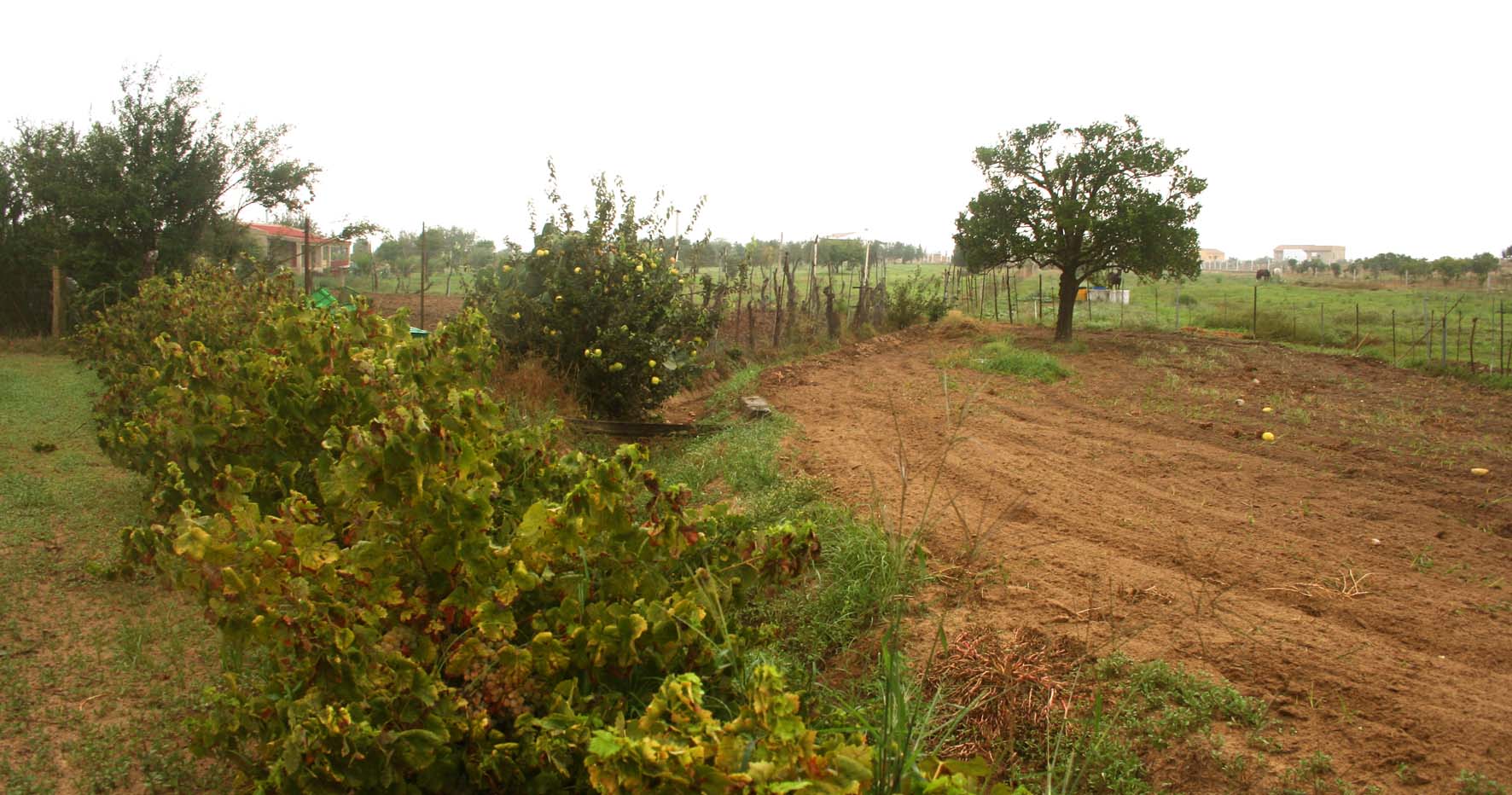 324 · gamboa_almonte_paisaje